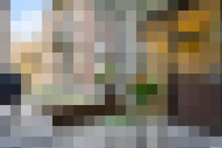 Koninginnenlaan 2 's-Hertogenbosch thumbnail 21