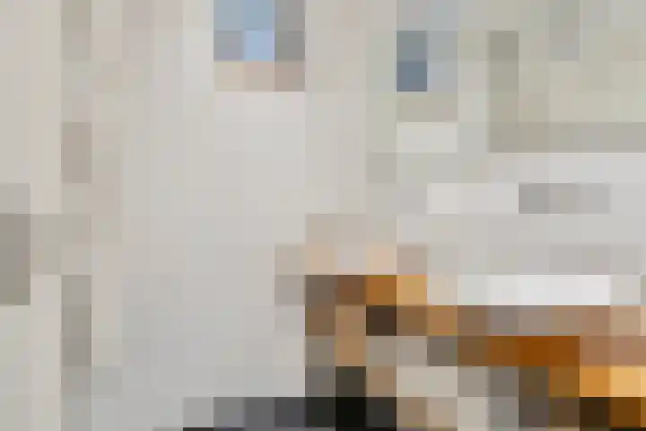 Koninginnenlaan 2 's-Hertogenbosch thumbnail 33