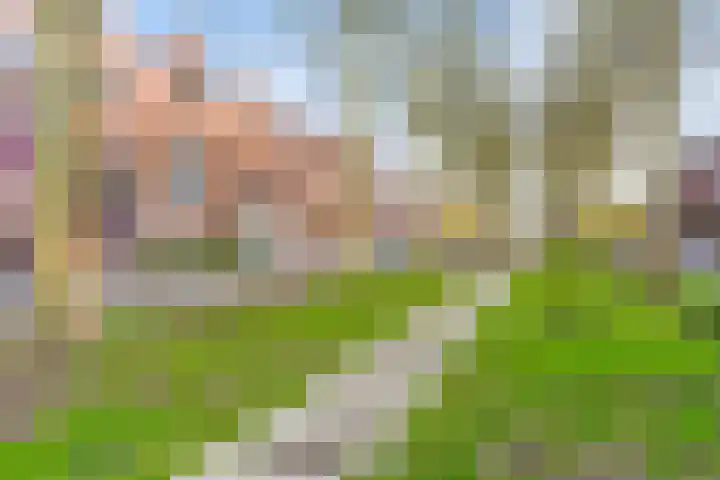 Koninginnenlaan 2 's-Hertogenbosch thumbnail 44