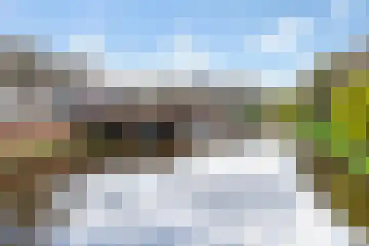 Koninginnenlaan 2 's-Hertogenbosch thumbnail 45