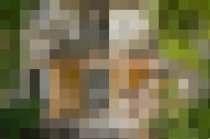 Koninginnenlaan 39 's-Hertogenbosch thumbnail 33