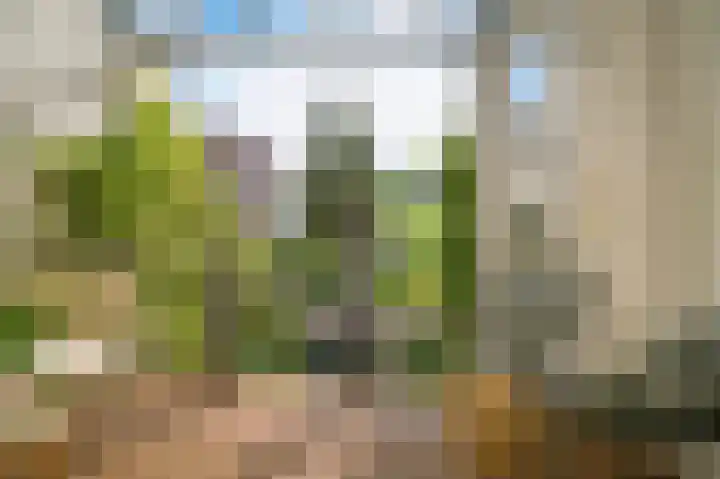 Koninginnenlaan 39 's-Hertogenbosch thumbnail 34