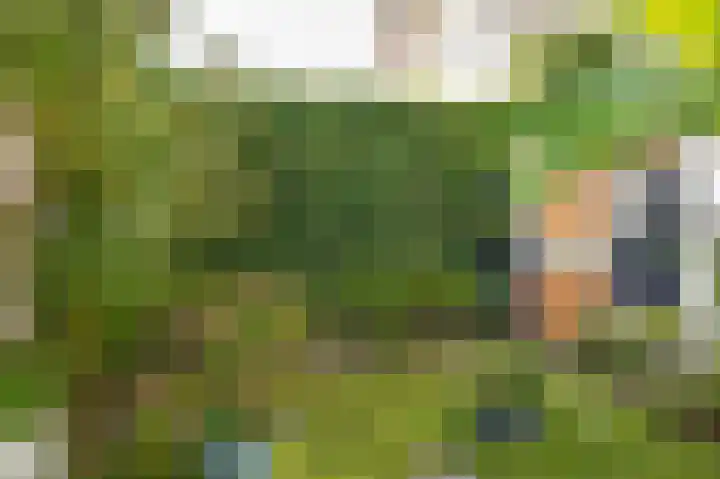 Koninginnenlaan 39 's-Hertogenbosch thumbnail 36