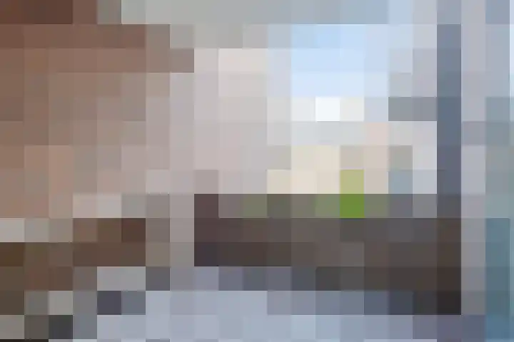 Koninginnenlaan 4 's-Hertogenbosch thumbnail 13