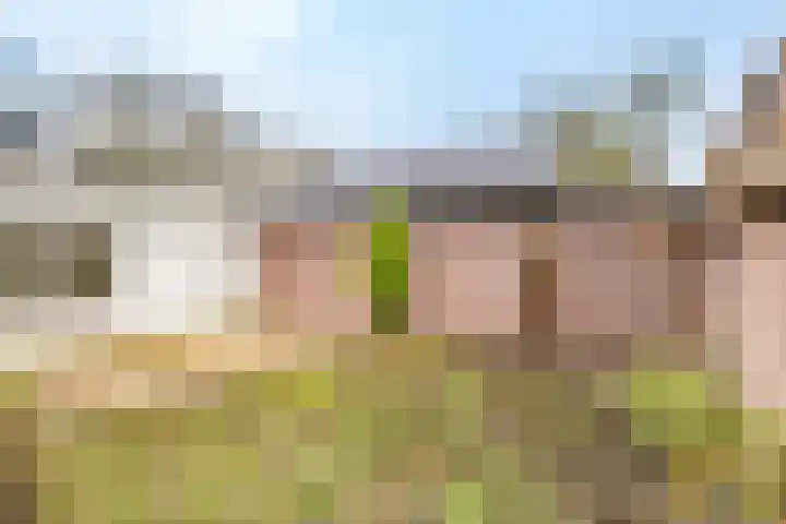 Koninginnenlaan 8 Nieuwegein thumbnail 10