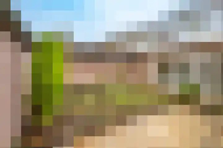 Koninginnenlaan 8 Nieuwegein thumbnail 12