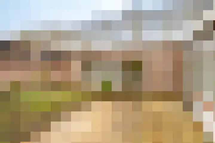 Koninginnenlaan 8 Nieuwegein thumbnail 13