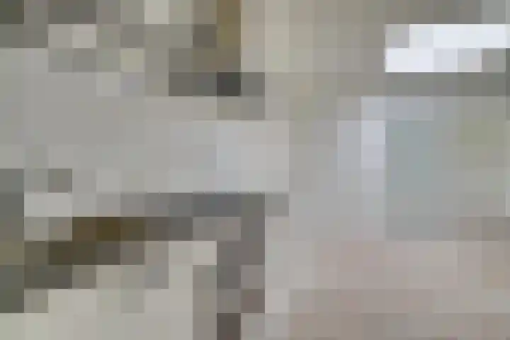 Koninginnenlaan 8 Nieuwegein thumbnail 20