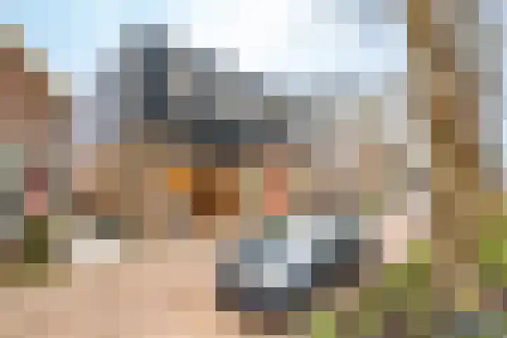 Koninginnenlaan 8 Nieuwegein thumbnail 32