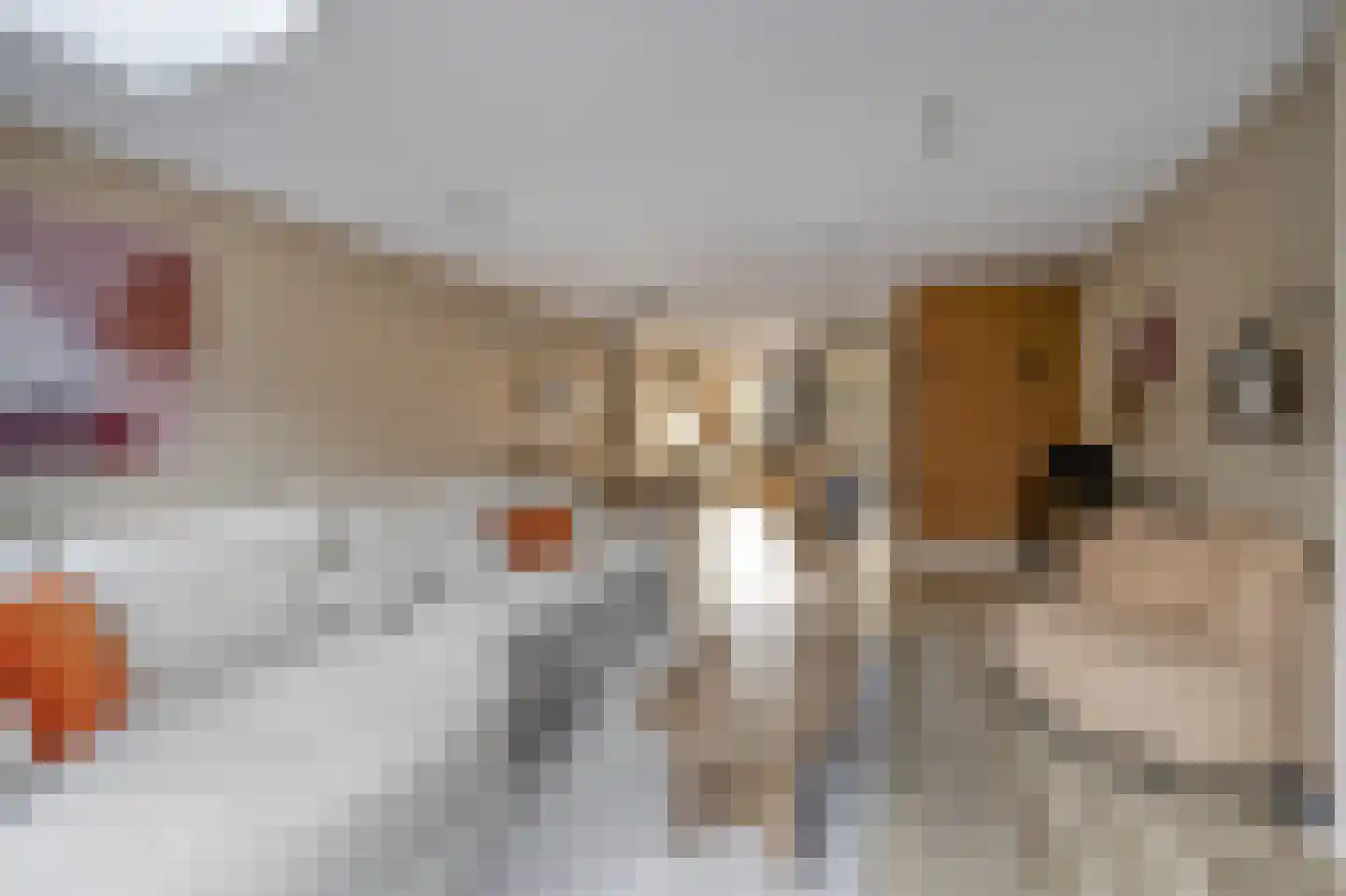 Koninginnenoever 33 Zevenhuizen thumbnail 10