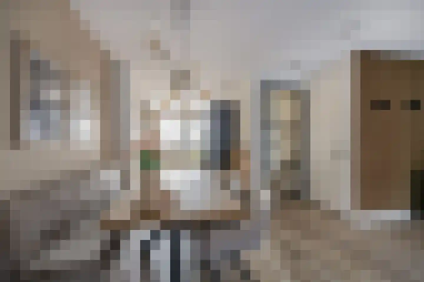 Koninginnenoever 33 Zevenhuizen thumbnail 12
