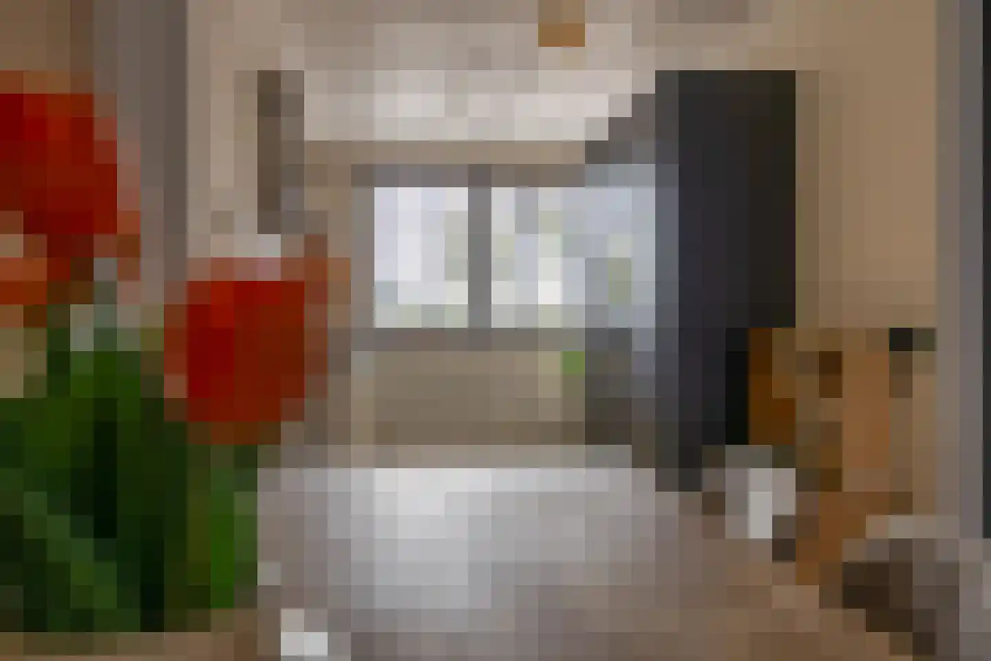 Koninginnenoever 33 Zevenhuizen thumbnail 13