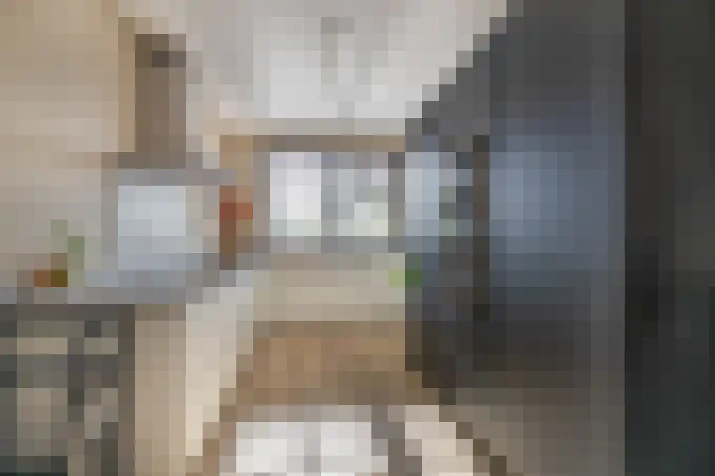 Koninginnenoever 33 Zevenhuizen thumbnail 15