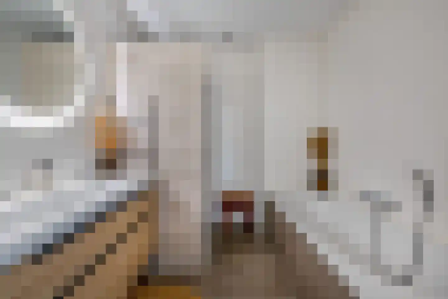 Koninginnenoever 33 Zevenhuizen thumbnail 21