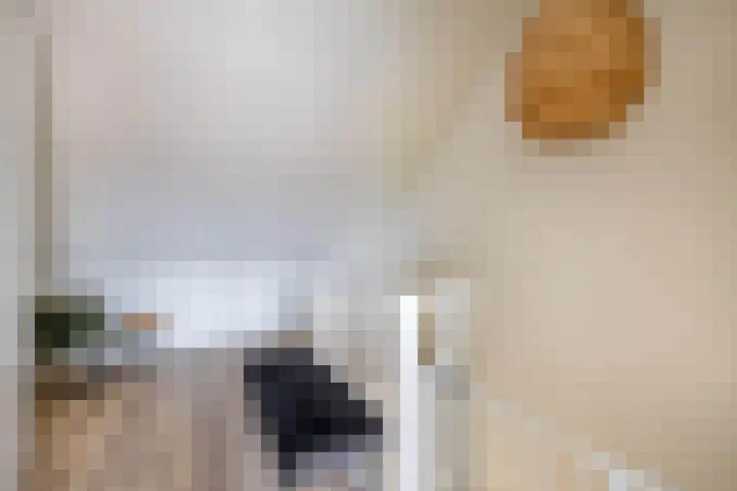 Koninginnenoever 33 Zevenhuizen thumbnail 25
