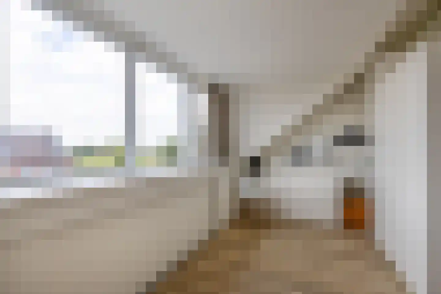 Koninginnenoever 33 Zevenhuizen thumbnail 26