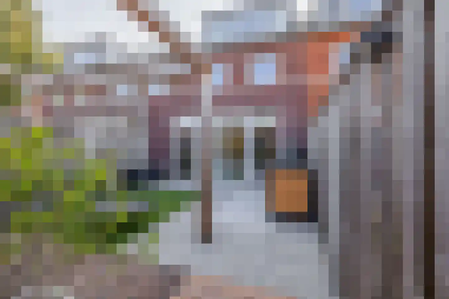 Koninginnenoever 33 Zevenhuizen thumbnail 29