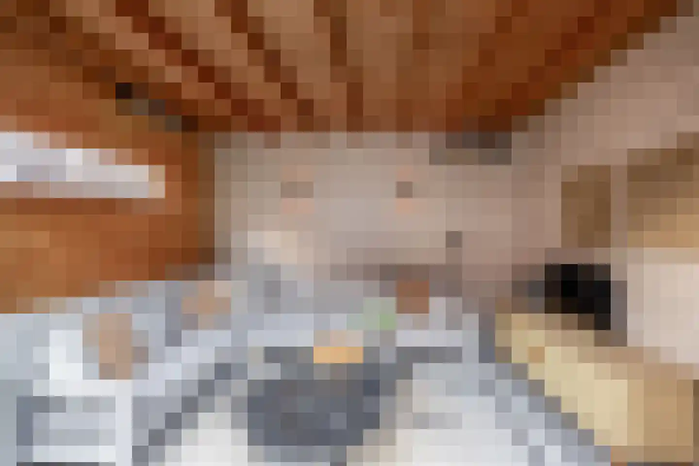 Koninginnenoever 33 Zevenhuizen thumbnail 31
