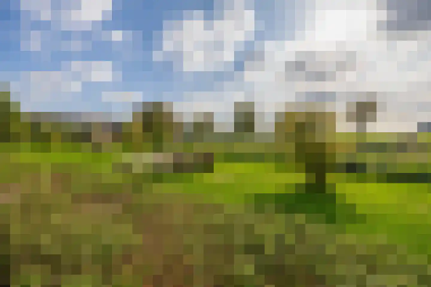 Koninginnenoever 33 Zevenhuizen thumbnail 34