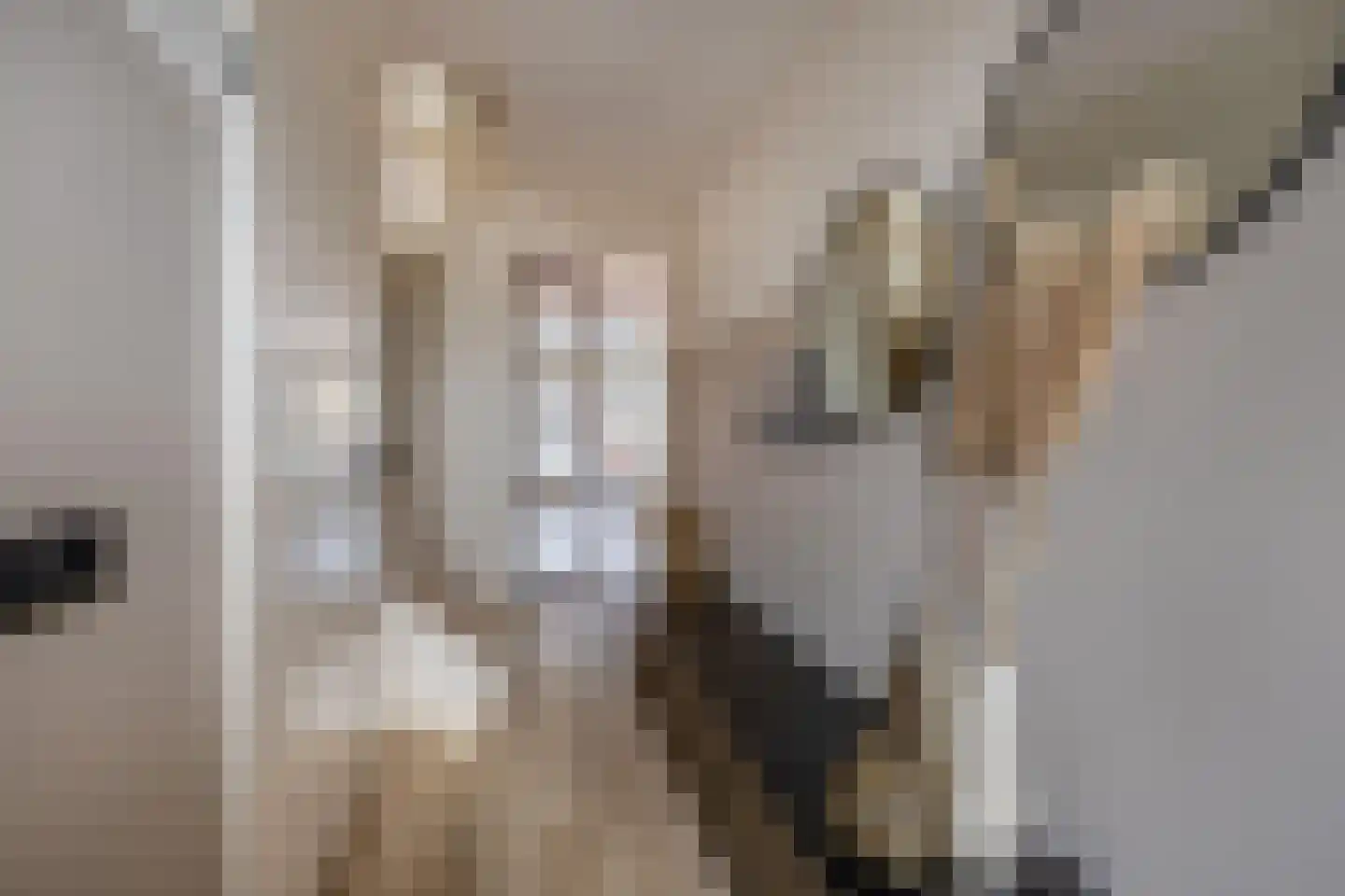 Koninginnenoever 33 Zevenhuizen thumbnail 6
