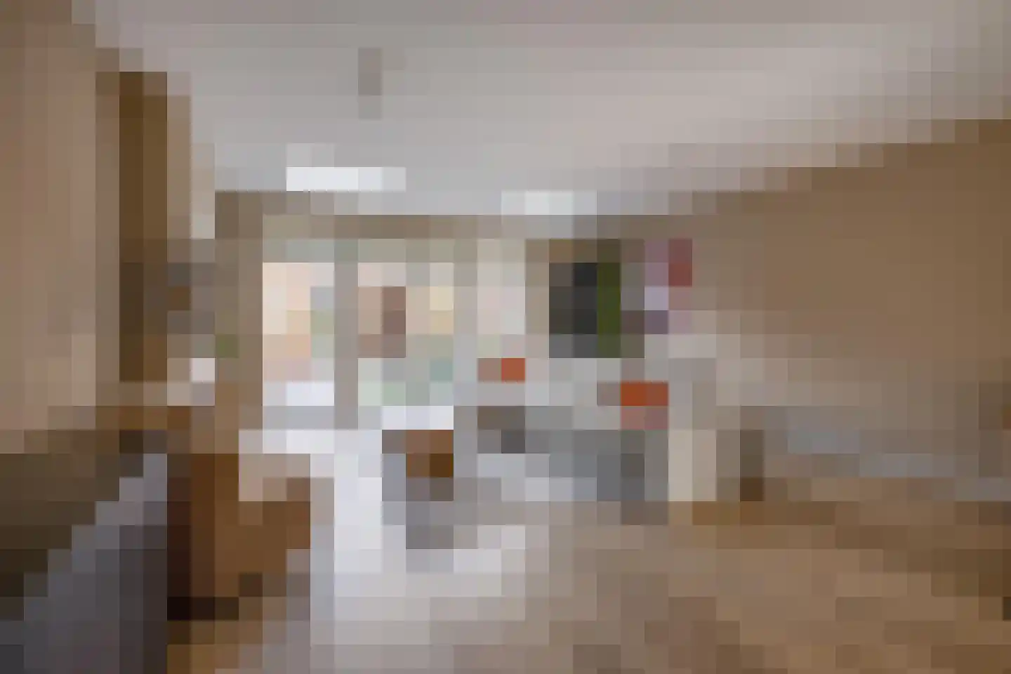 Koninginnenoever 33 Zevenhuizen thumbnail 8
