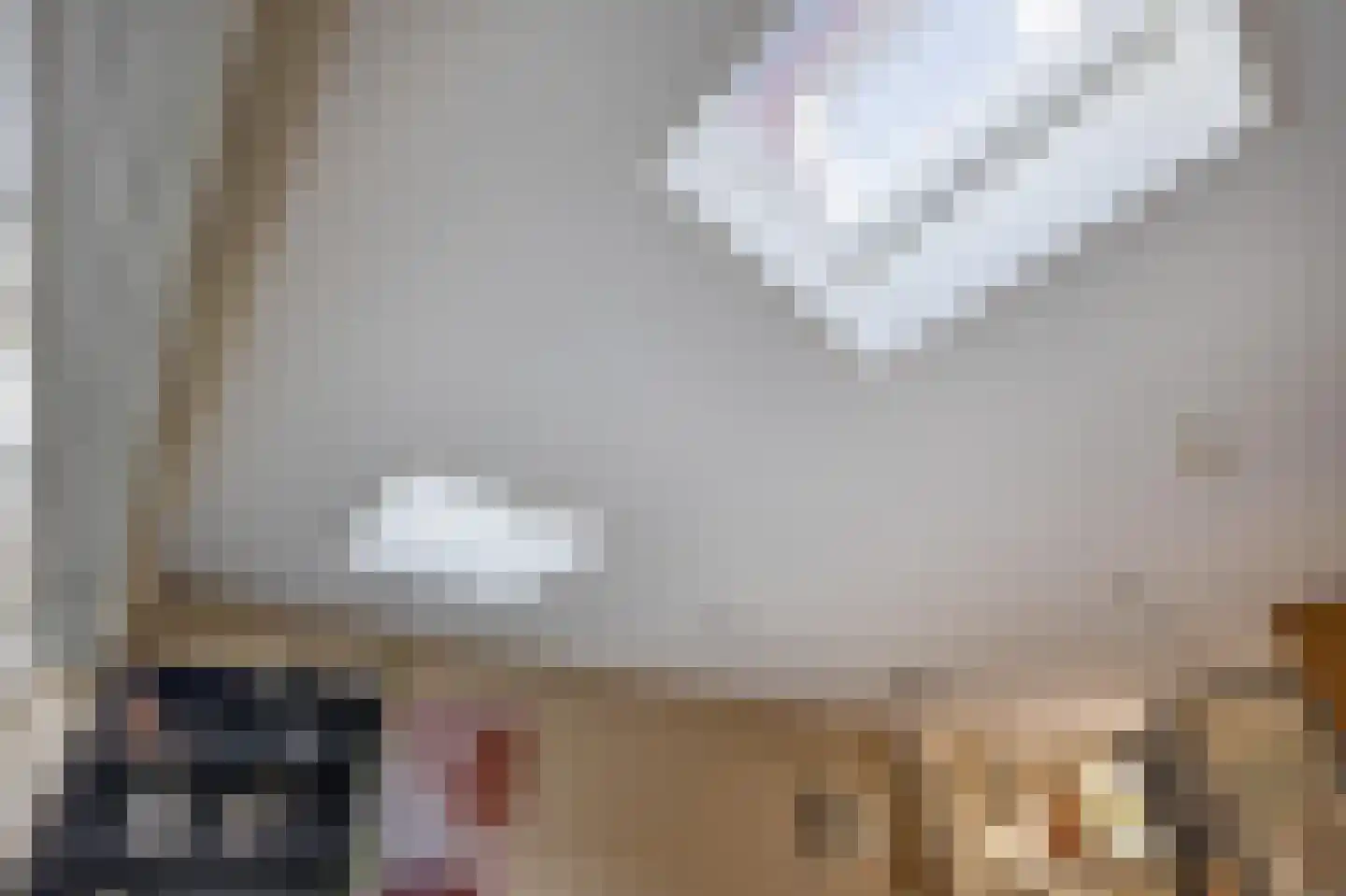 Koninginnenoever 33 Zevenhuizen thumbnail 9