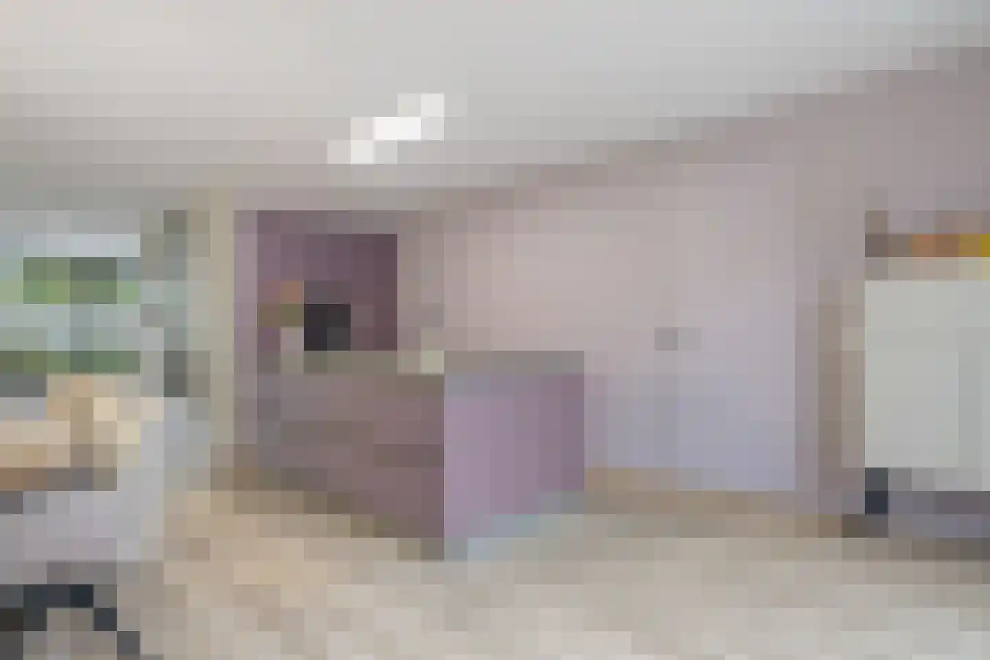 Koninginnenpage 11 Mierlo thumbnail 12