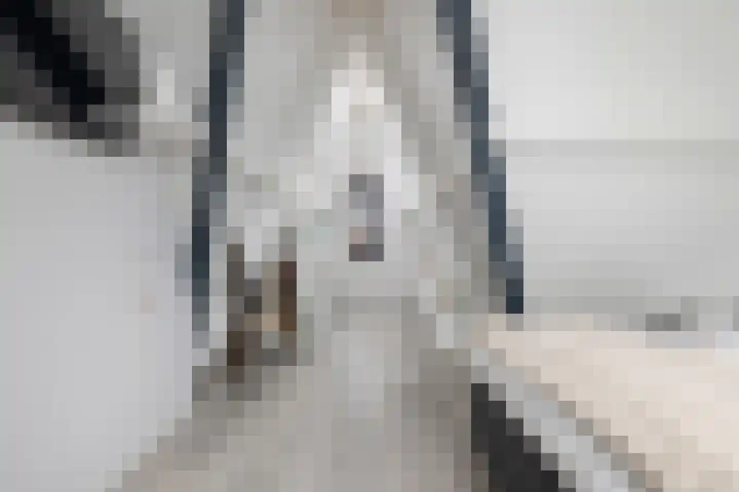 Koninginnenpage 11 Mierlo thumbnail 25