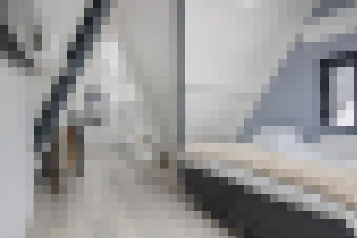 Koninginnenpage 11 Mierlo thumbnail 26
