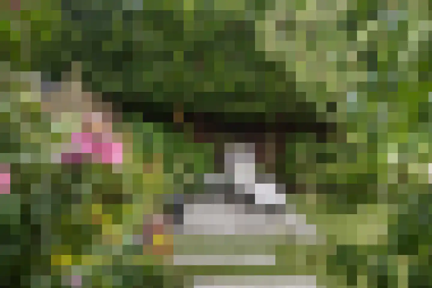 Koninginnenpage 11 Mierlo thumbnail 29