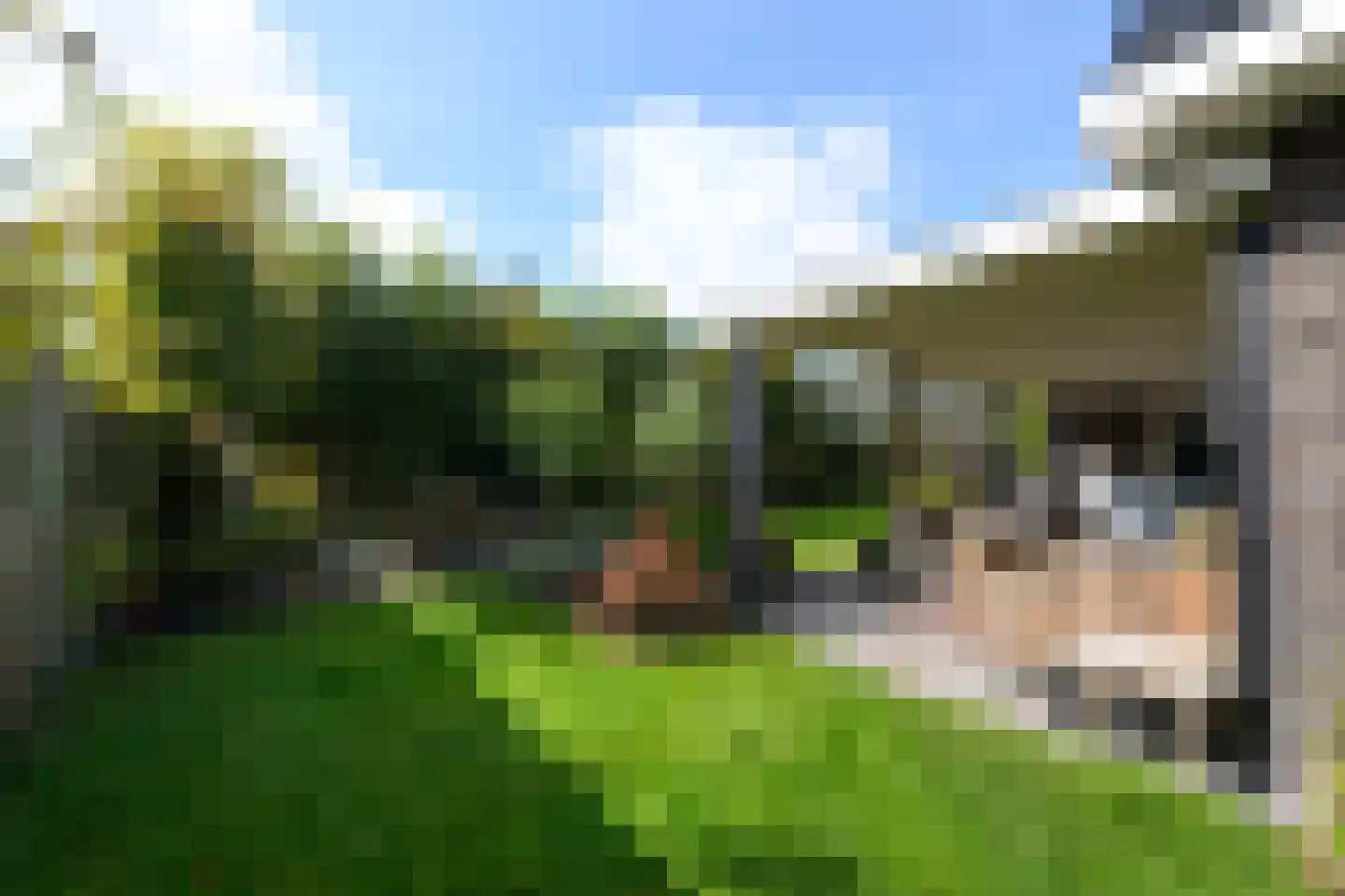 Koninginnenpage 17 Wolvega thumbnail 38
