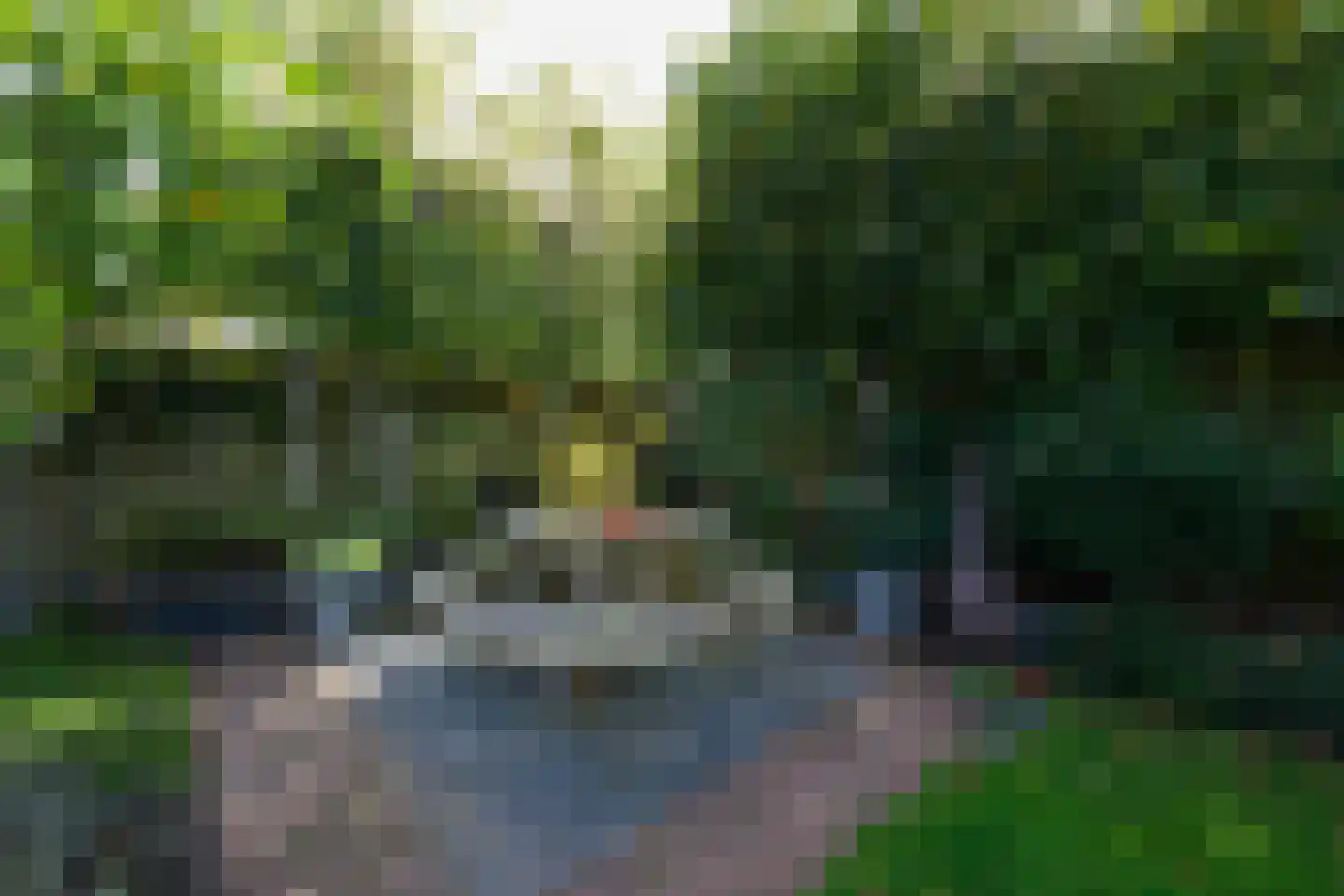 Koninginnenpage 17 Wolvega thumbnail 44