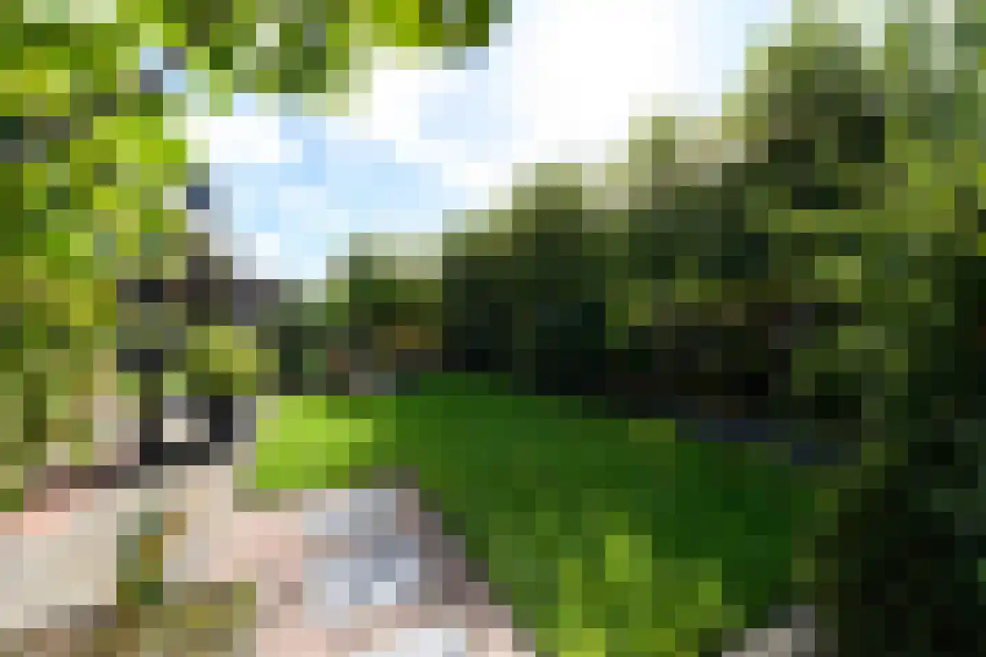 Koninginnenpage 17 Wolvega thumbnail 47