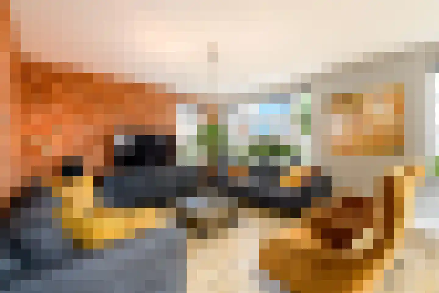 Koninginnenpage 17 Wolvega thumbnail 7