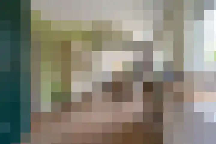 Koninginnenpage 29 Sneek thumbnail 17