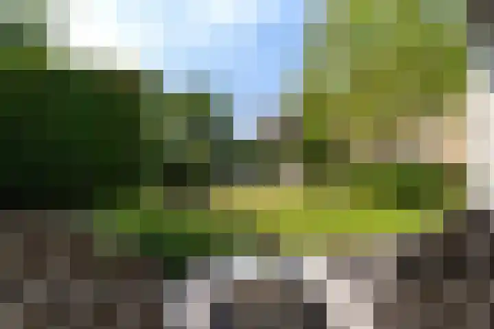 Koninginnenpage 29 Sneek thumbnail 4