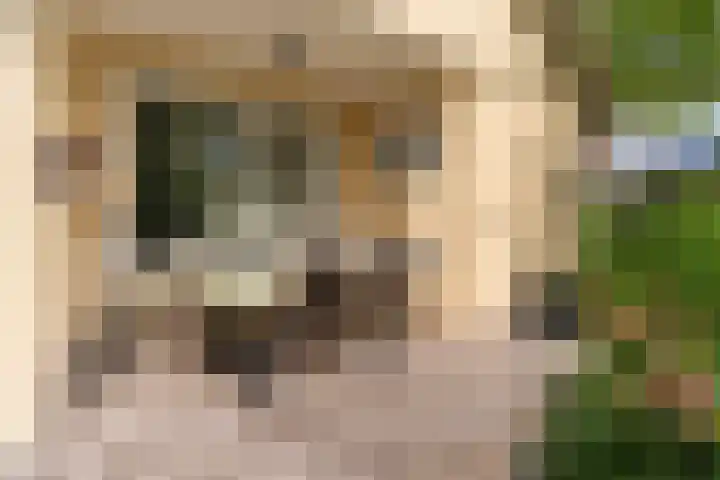 Koninginnenpage 29 Sneek thumbnail 43