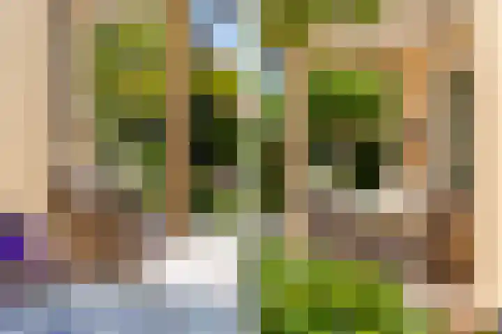 Koninginnenpage 29 Sneek thumbnail 44