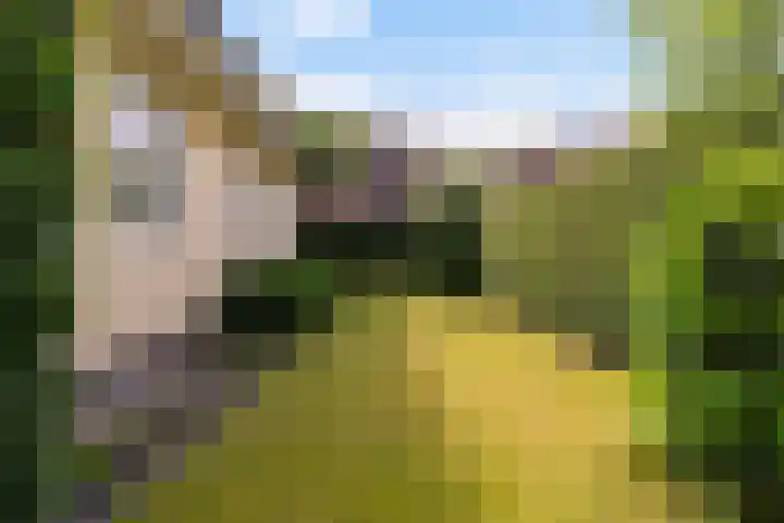 Koninginnenpage 29 Sneek thumbnail 48