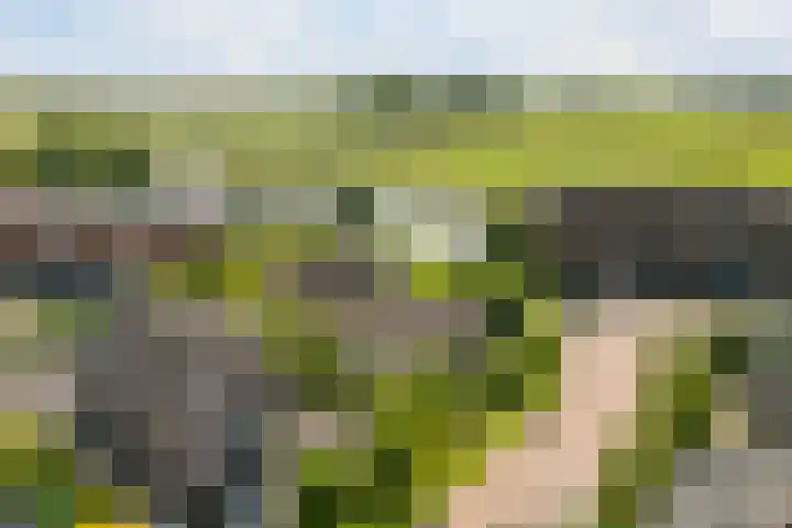 Koninginnenpage 29 Sneek thumbnail 5