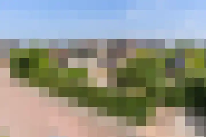 Koninginnenpage 29 Sneek thumbnail 54