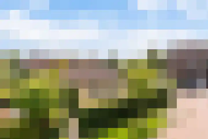 Koninginnenpage 29 Sneek thumbnail 55
