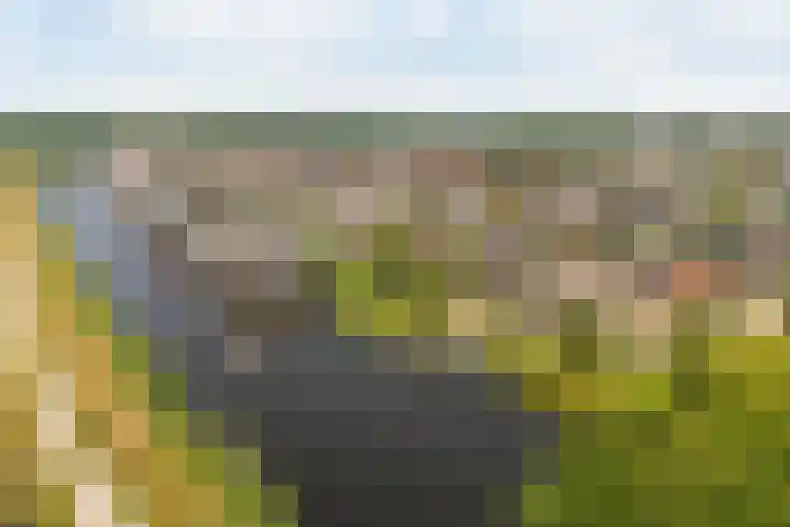 Koninginnenpage 29 Sneek thumbnail 60