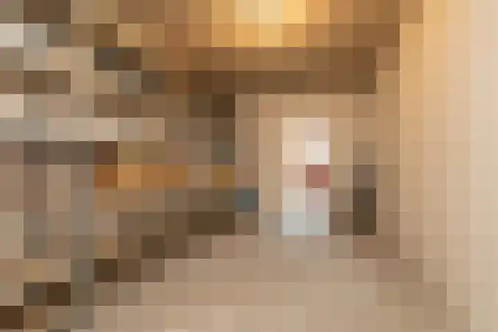 Koninginnenpage 4 Sneek thumbnail 14