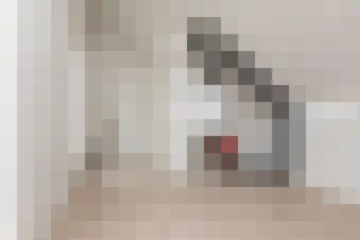 Koninginnenpage 4 Sneek thumbnail 28