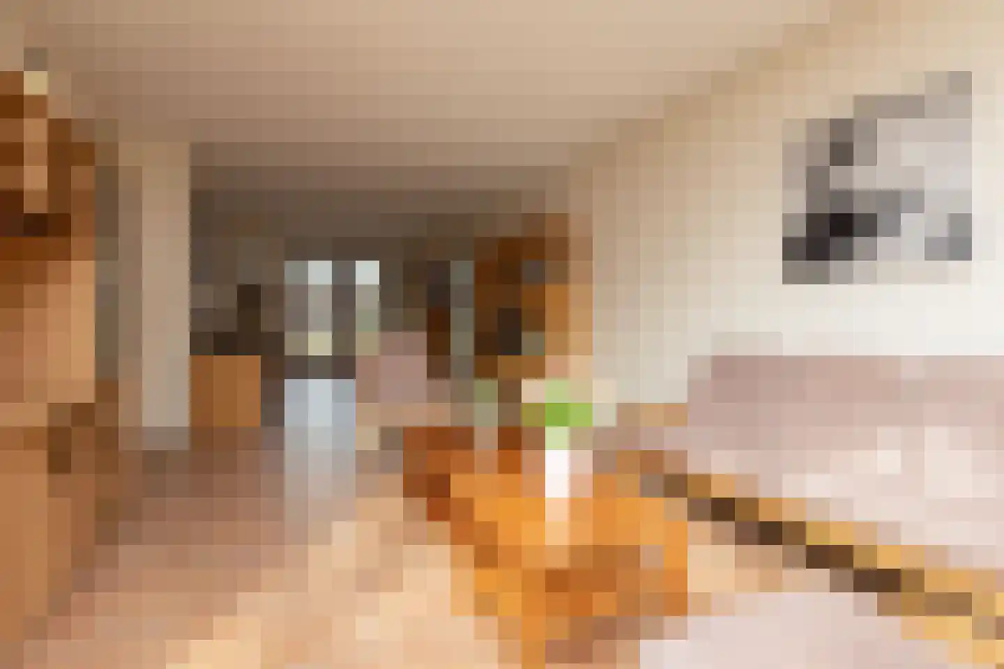 Koninginnenpage 4 Sneek thumbnail 5