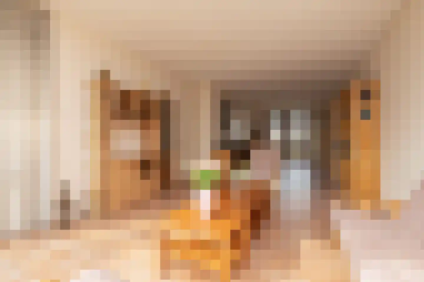 Koninginnenpage 4 Sneek thumbnail 6