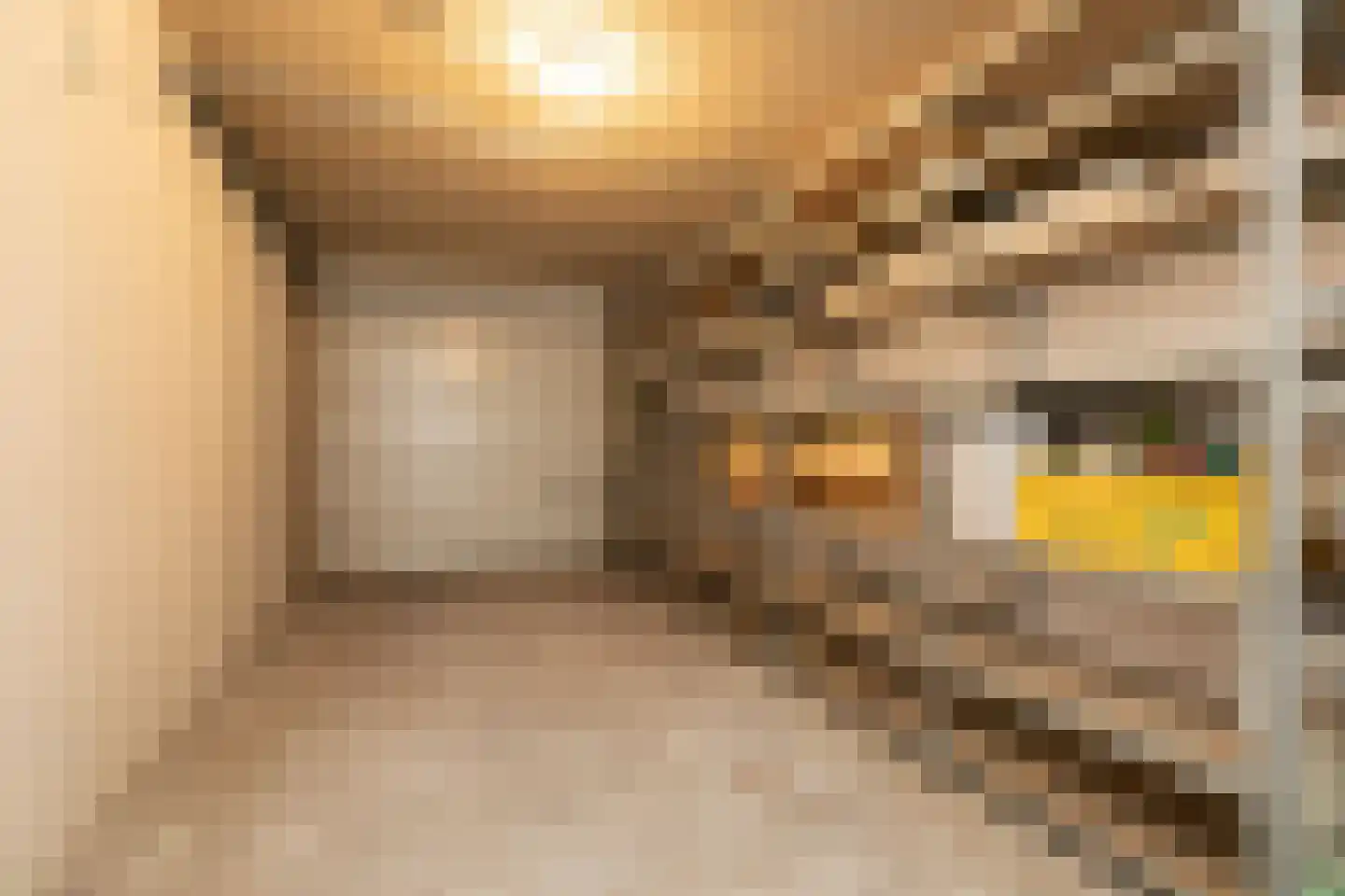 Koninginnenpage 4 Sneek thumbnail 7