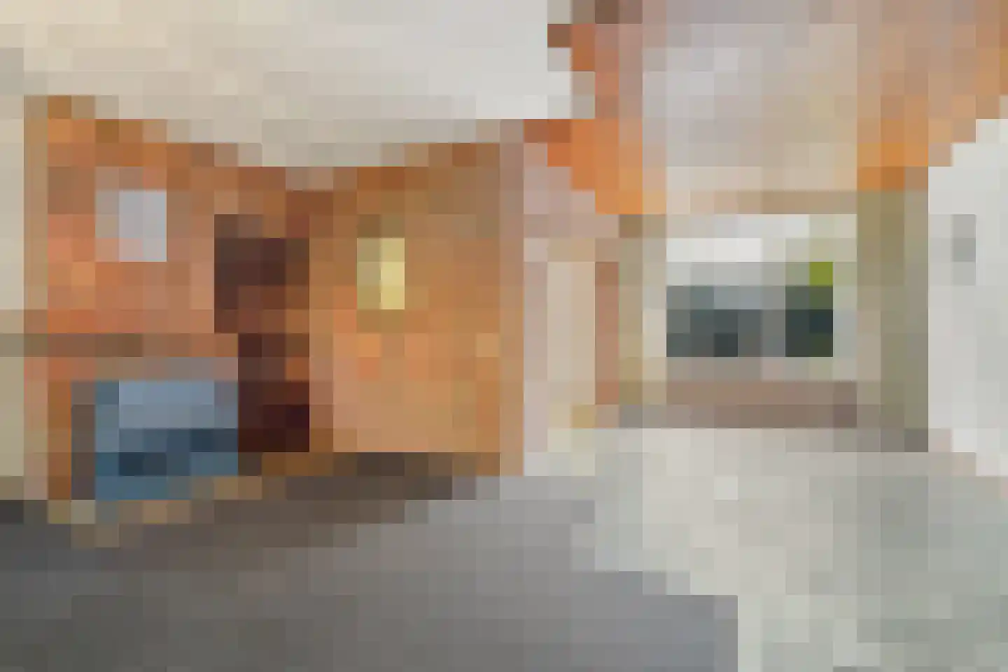 Koninginnepad 31 Den Hoorn thumbnail 18