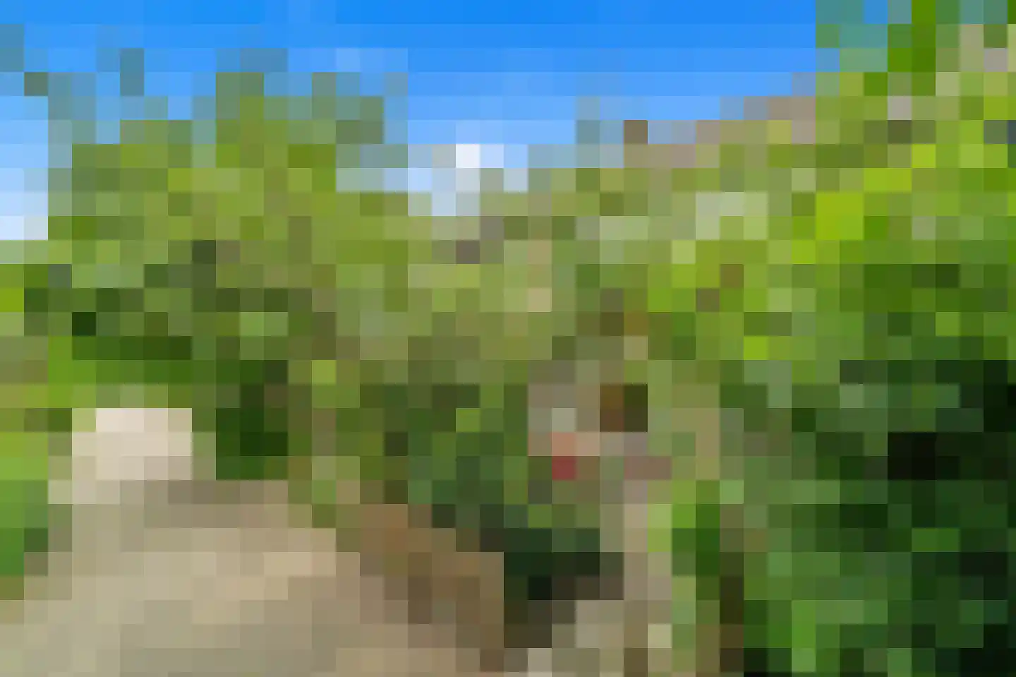 Koninginnepad 31 Den Hoorn thumbnail 6